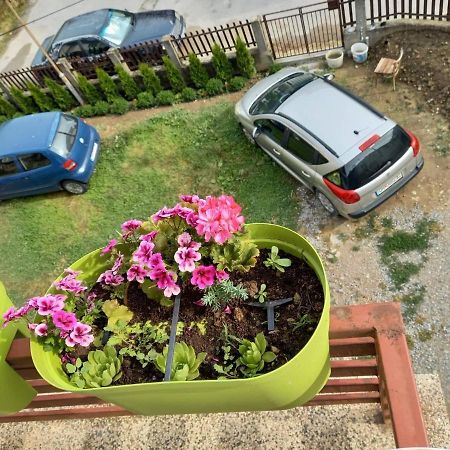 Apartmants Djekovi オフリド エクステリア 写真